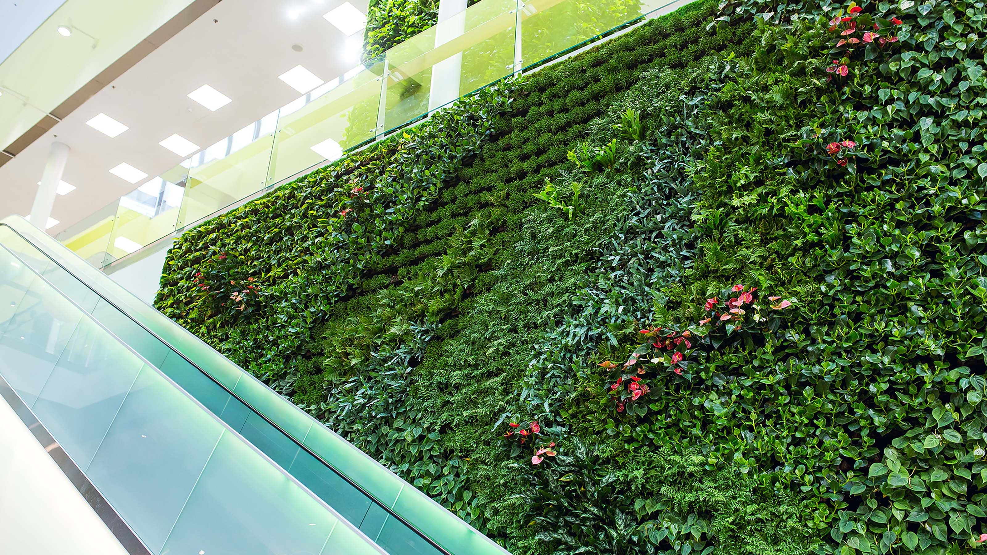Green Wall Image